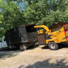 Tree Removal & Stump Grinding Maple Grove, Plymouth, Chaska
